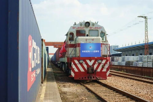 鐵路運(yùn)輸助力進(jìn)博會 飼料生產(chǎn)展品高效直達(dá)