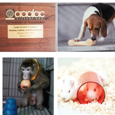 構(gòu)建協(xié)同發(fā)展新格局 動(dòng)物福利在飼料生產(chǎn)與安全性評(píng)價(jià)研究中的核心地位