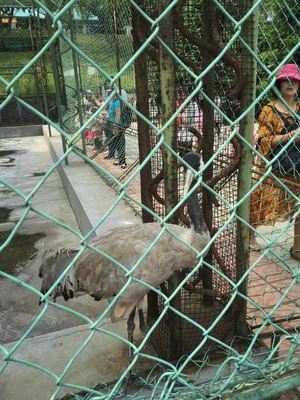 本溪動物園游覽體驗與動物飼養(yǎng)觀察點評